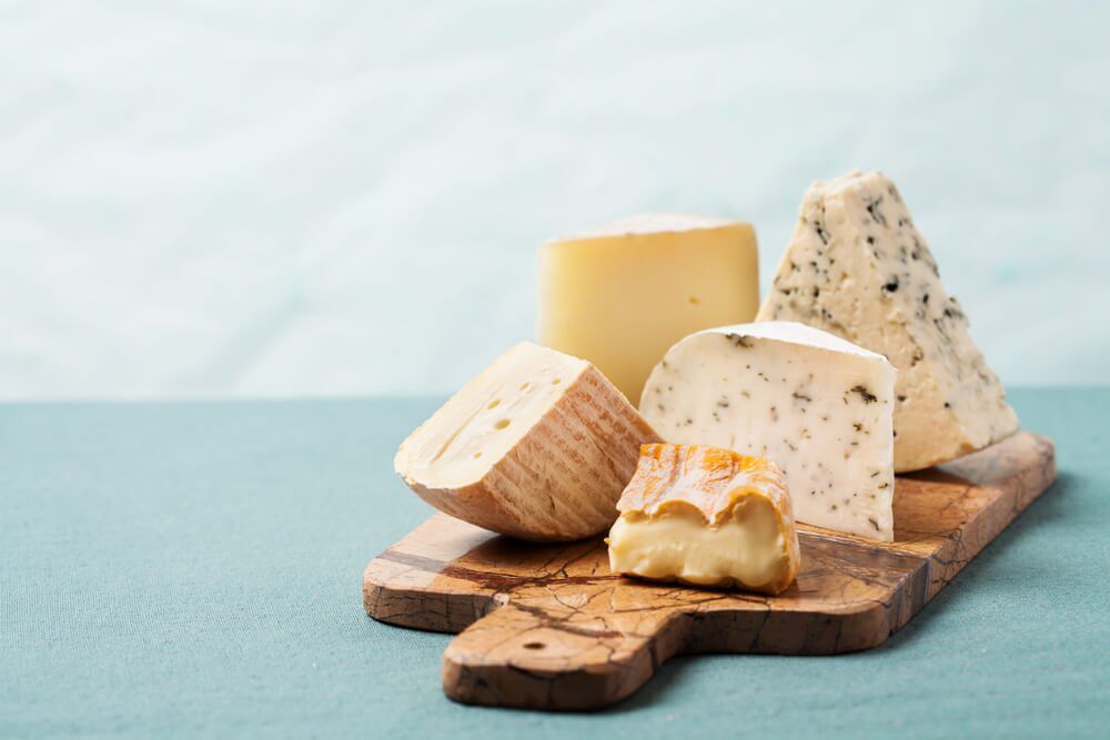 CanDogsEatCheeseIsCheeseBadforDogs Total Vet can dogs eat cheese