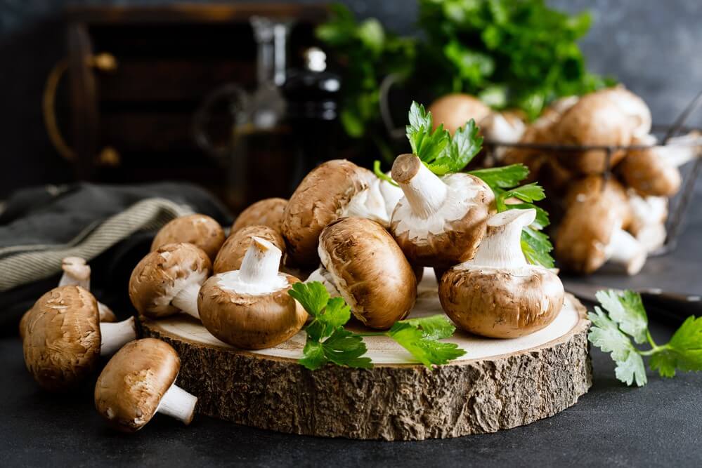 CanDogsEatMushroomsAninDepthLook Total Vet can dogs eat mushrooms