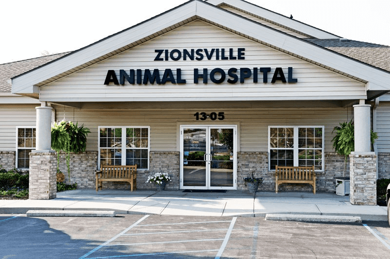 bestvetsinindianapolis Total Vet best vets in indianapolis