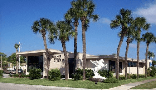 bestvetsinjacksonville Total Vet best vets in jacksonville