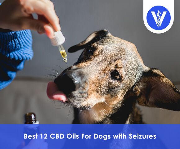 Best CBD Oils For Dogs with Seizures Total Vet Best CBD Oils For Dogs with Seizures