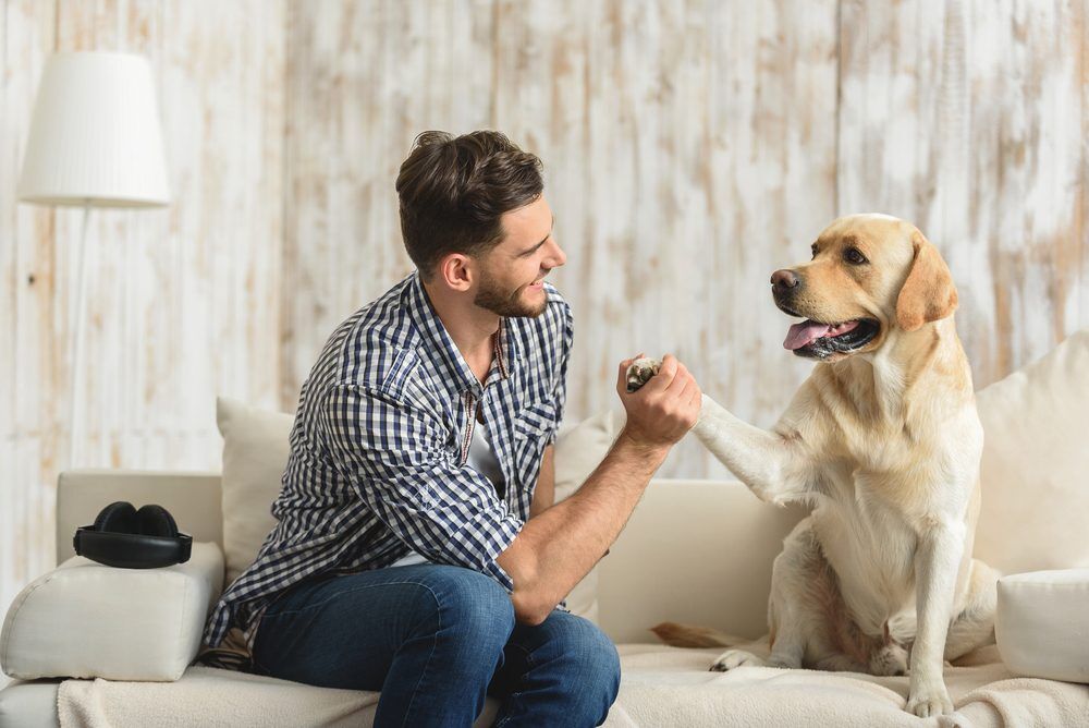 GuyOnTheSofaHoldingPawOfDog TotalVet new years resolutions for you and your dog