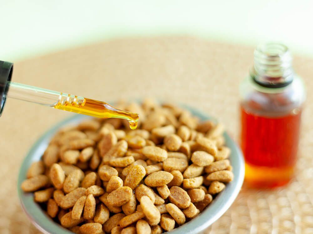 CBDForDogsCompleteGuideandTopReviews  TotalVet cbd for dogs