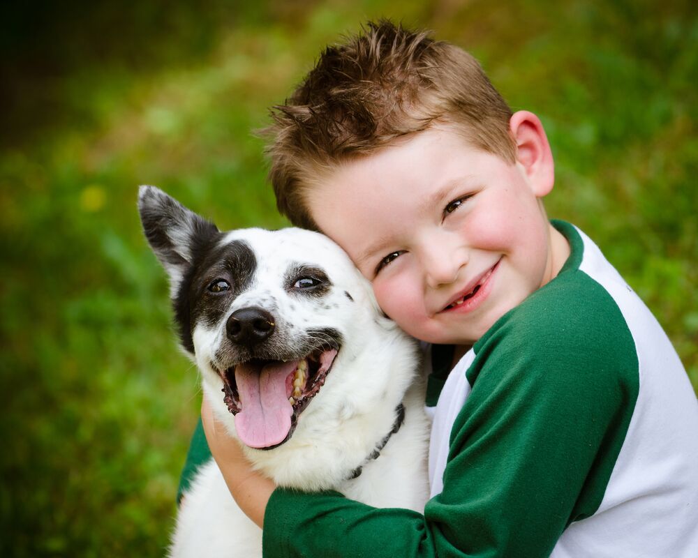 benefits of dogs on children  TotalVet benefits of dogs on children