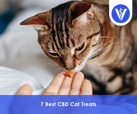 Best CBD Cat Treats  TotalVet Best CBD Cat Treats
