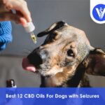 Best CBD Oils For Dogs with Seizures