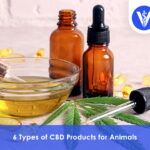 CBD vs Hemp Oil
