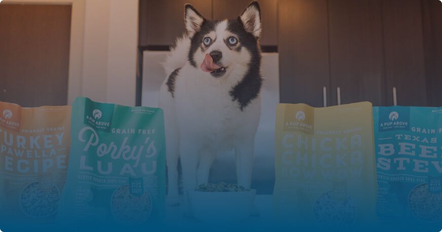 apupabovedogfood  TotalVet A Pup Above Dog Food