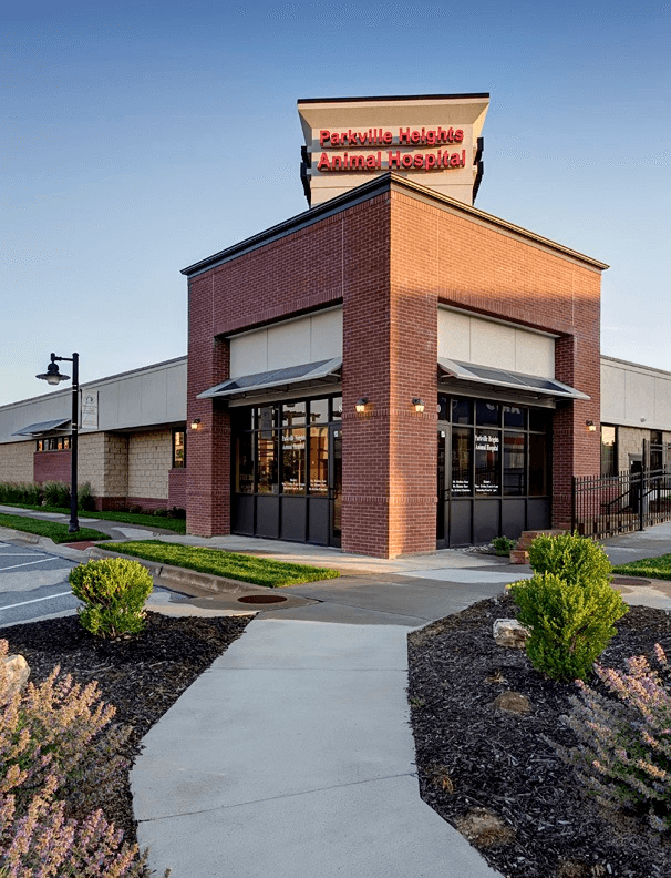 bestvetsinkansascity1 Total Vet best vets in kansas city