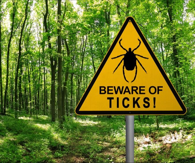 lyme disease rankings Total Vet lyme disease