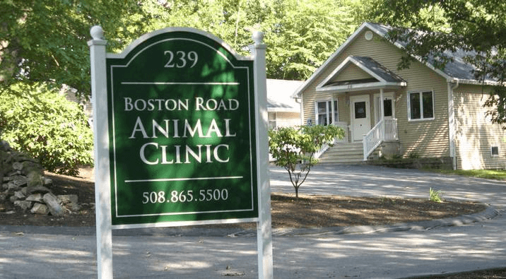 bestvetsinboston Total Vet best vets in boston