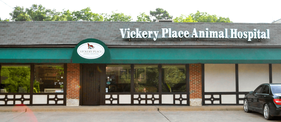 bestvetsindallas Total Vet best vets in dallas