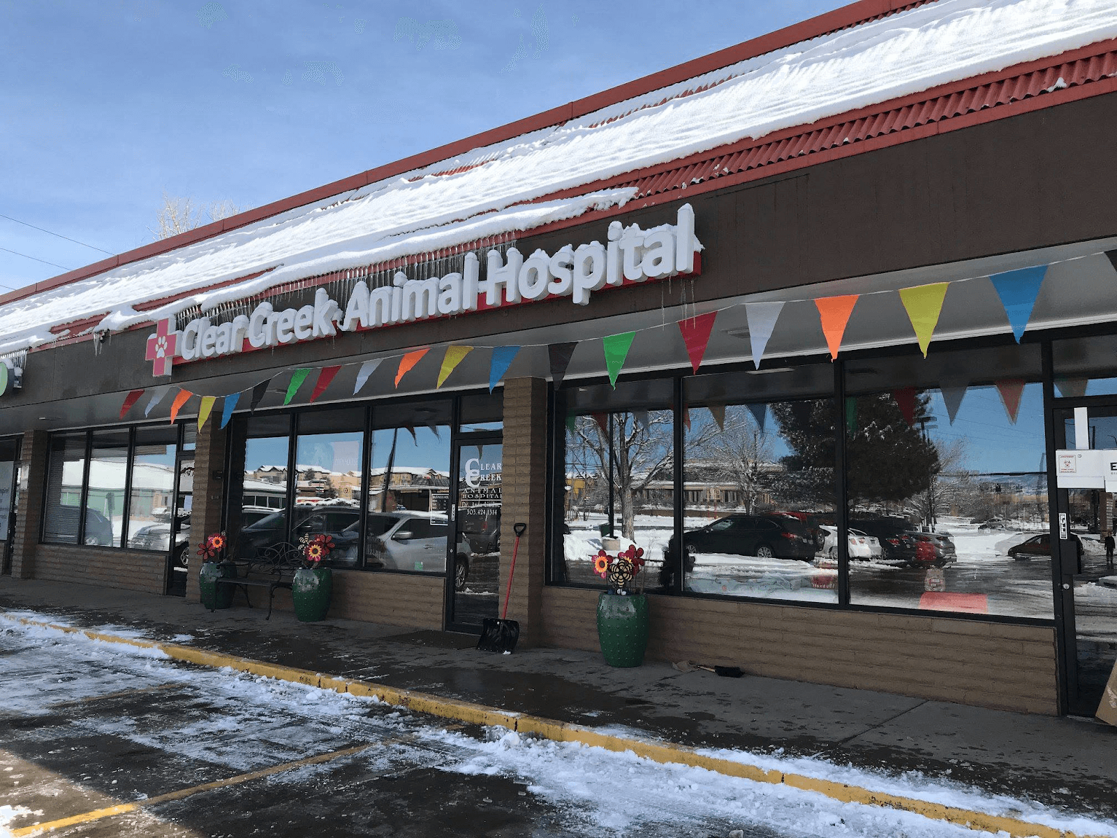 bestvetsindenver Total Vet best vets in denver