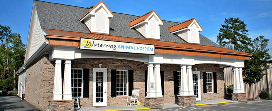 bestvetsinmyrtlebeach Total Vet best vets in myrtle beach