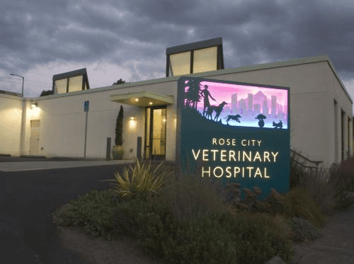 bestvetsinportlandoregon Total Vet best vets in portland