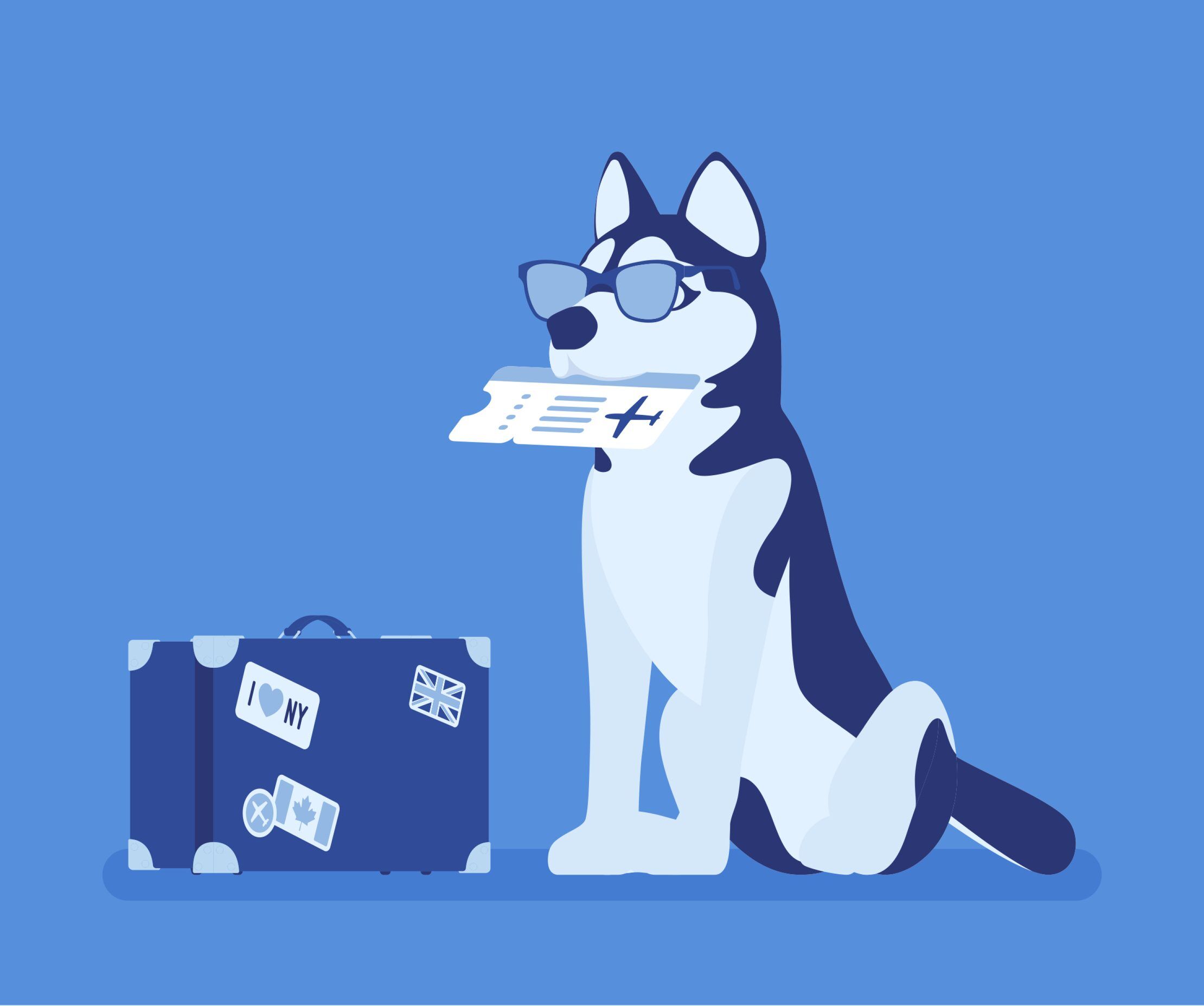 petfriendlyairlines Total Vet pet friendly airlines