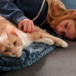 Cat with anxiety cuddling with their owner