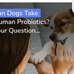 are human probiotics for dogs safe