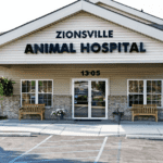 best vets in indianapolis