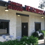 best vets in los angeles