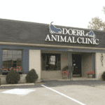 best vets in louisville