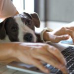 work from home with dogs