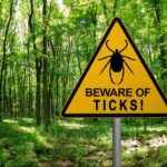 lyme disease