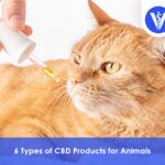 CBD Products for Animals