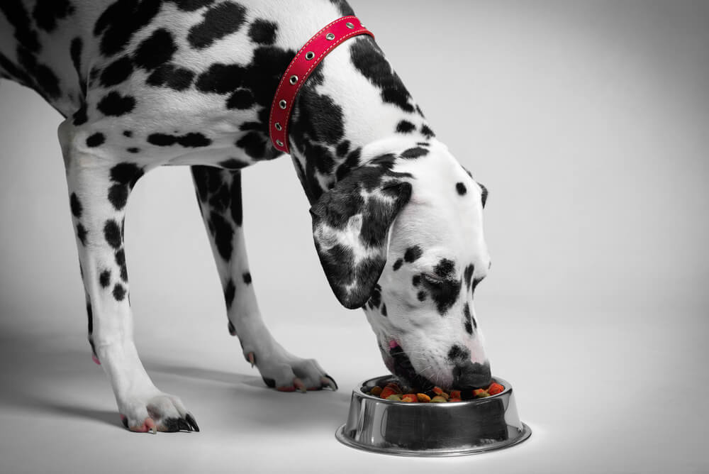 BlueWildernessDogFoodReviewedProsConsandIngredientAnalysis Total Vet Blue Wilderness Dog Food