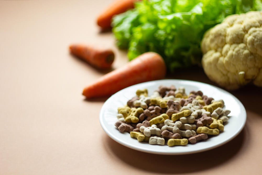 Top6VeganDogFoodFormulasEverythingYouWanttoKnow Total Vet vegan dog food
