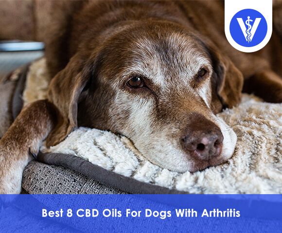 Best CBD Oils for Dogs with Arthiritis Total Vet Best CBD Oils for Dogs with Arthiritis