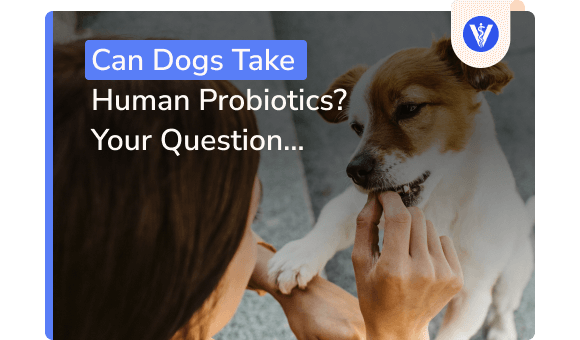 are human probiotics for dogs safe