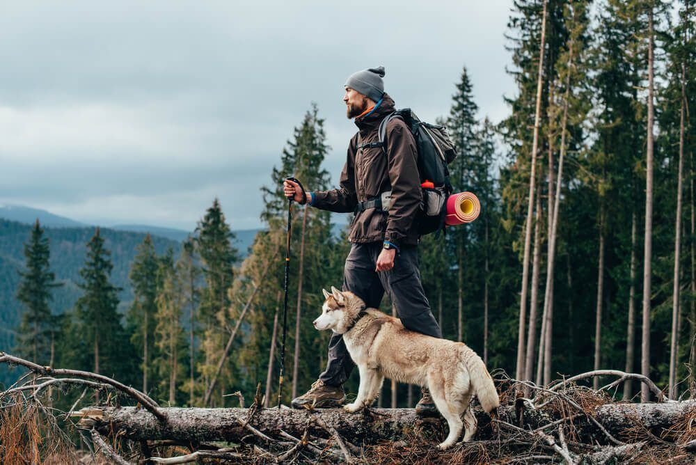 hiking with dogs