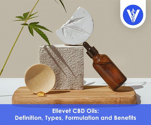 Best Ellevet CBD Oils