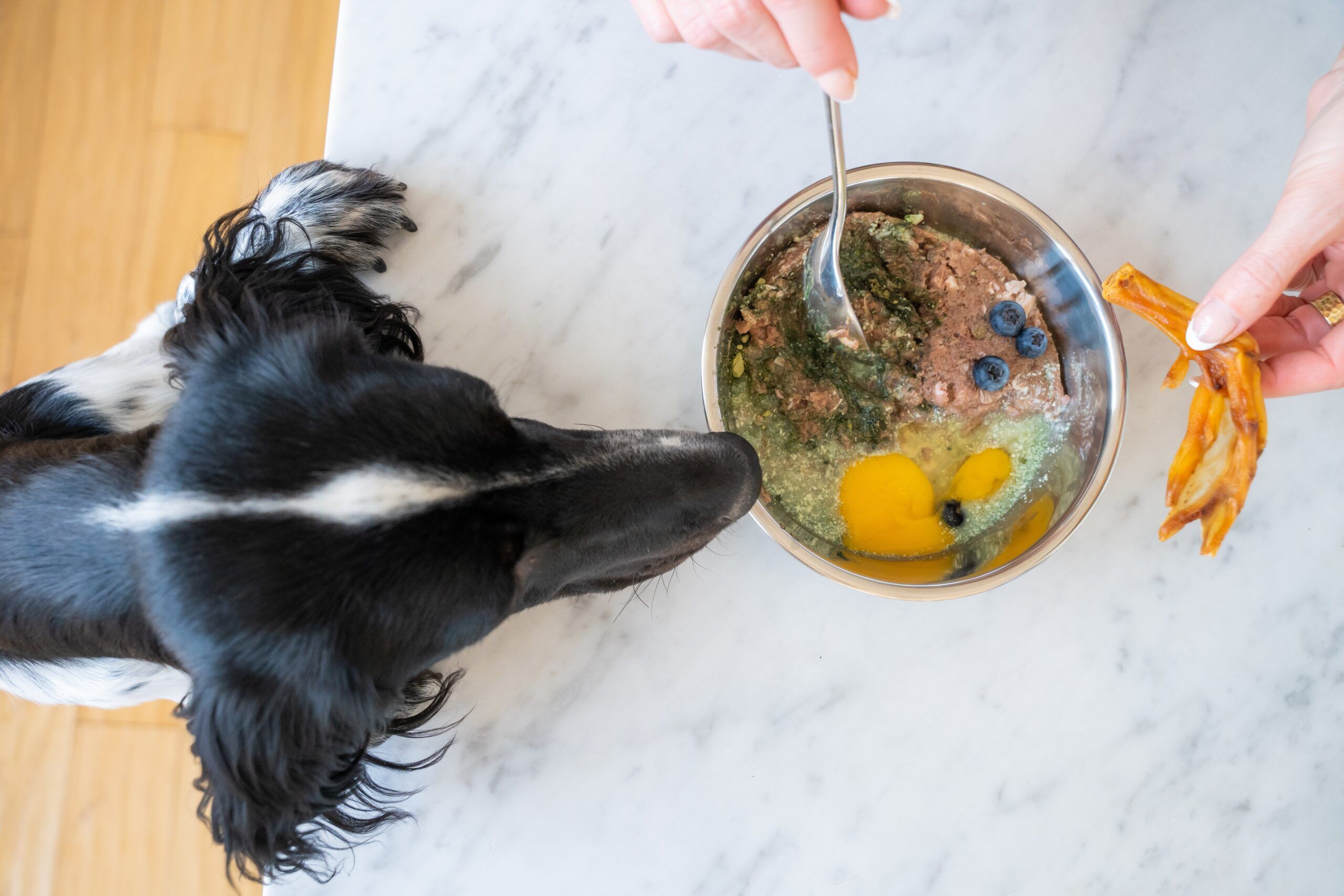 Chicken feet for dogs