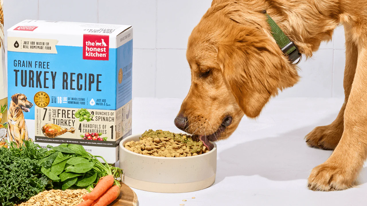 The Honest Kitchen Dog Food Review Total Vet