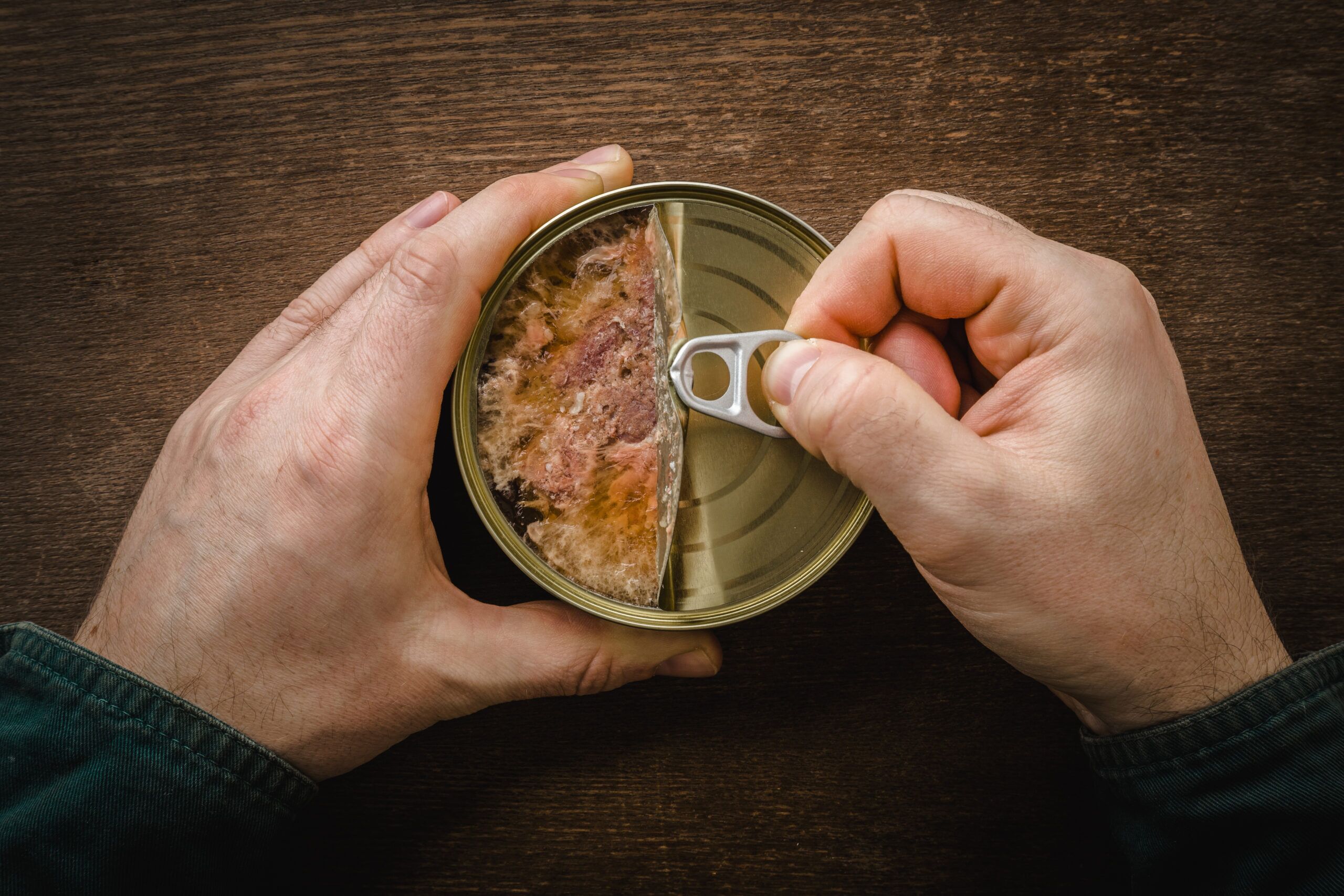 Can Dogs Eat Canned Chicken