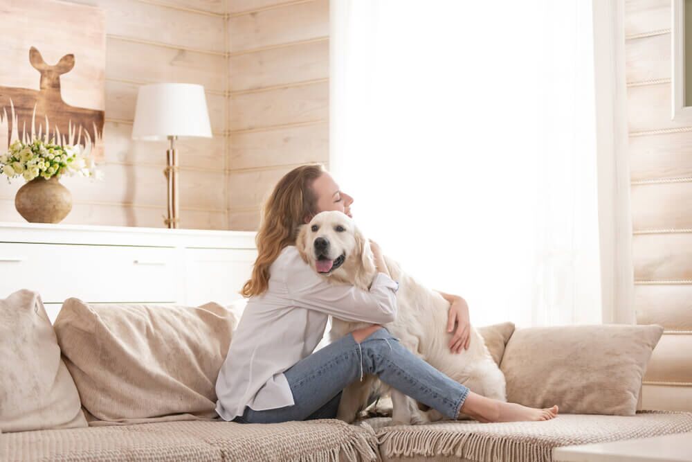 emotionalsupportanimalprescription TotalVet emotional support animal prescription