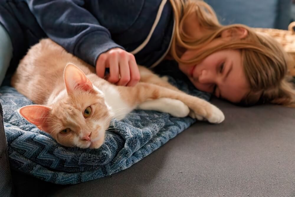 Cat with anxiety cuddling with their owner