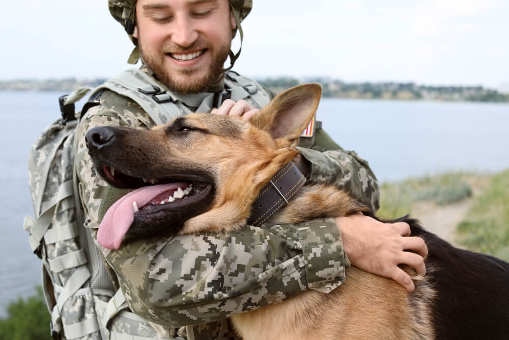 psychiatric service dog