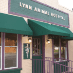 best vets in baltimore