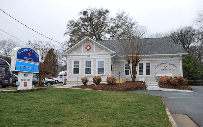 bestvetsinatlanta Total Vet best vets in atlanta
