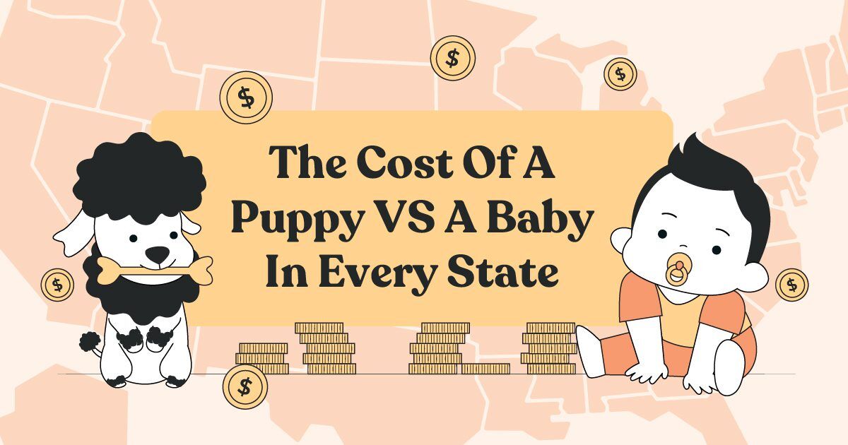 puppyvsbaby Total Vet puppy vs baby