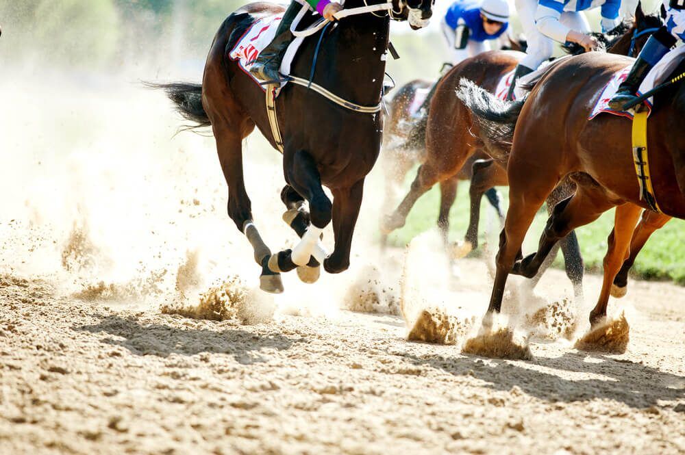 shutterstock343237862 Total Vet horse racing death statistics