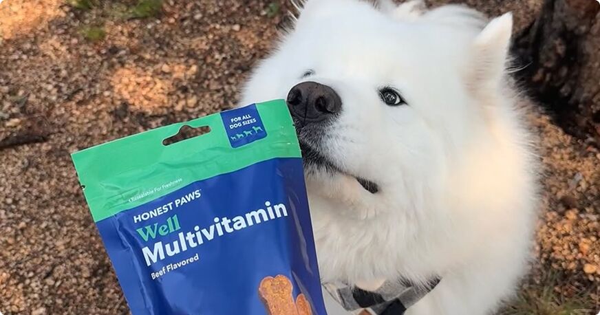 Honest Paws Review Total Vet