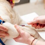 dnaffirm dog breed dna test