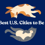 most cat friendly cities