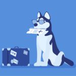 pet friendly airlines