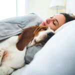 should dogs sleep on your bed