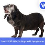 Best CBD Oils For Dogs with Lymphoma
